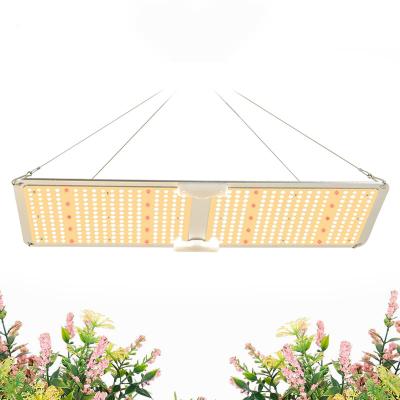 China Dimmable With Knob Luz Para Crecimiento De Plantas Waterproof High PPFD 300 Watt Hydroponics And Plant Grow Led Grow Lights for sale