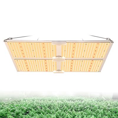 China Dimmable With Button High End Factory Price Grow Lights With Samsung LM301B LED Chips for sale