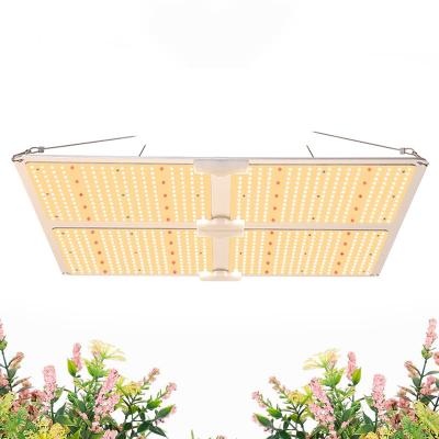 China Dimmable with button grow lights for hemp, weed and greenhouse plants for sale