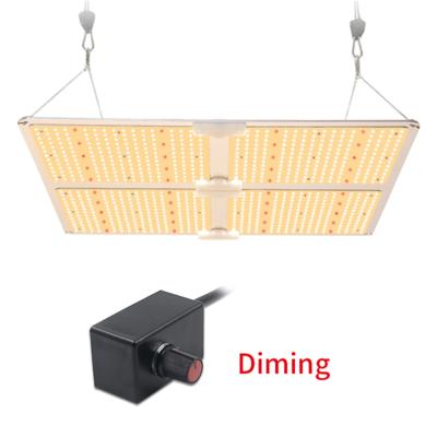 China Dimmable with button grow lights for indoor greenery and vegetable for sale