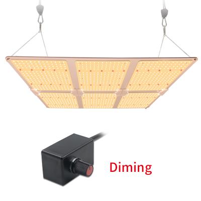 China Dimmable with button grow lights with full spectrum lm301b Meanwell led driver 600w 3000K 5000K led board horticulture for sale