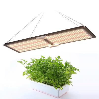 China Dimmable with button Zhongshan 600W led grow lights/grow light kits for wholesale for sale