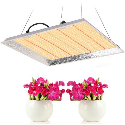 China Hang Hooks Kit Included Dongguan Factory Led Samsung 281B LED Chips Grow Light / Led Grow Light Sulight 2021 for sale