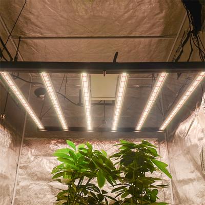 China Hang Hooks Kit Included Shenzhen Quantum 640W Led Boarder 3000K 5000K 740nm Grow Lights with Samsung 301D LED Chips for sale