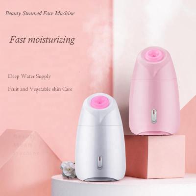 China Nano Ionic Facial Warm Mist Sprayer Pro Beauty Care Steamer DEEP CLEANSING Facial Steamer for sale