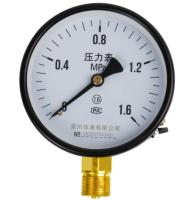 China Radialkupfernes gemeinsames Eisen Shell M20*1.5 CCC Y100 Manometer-100mm zu verkaufen