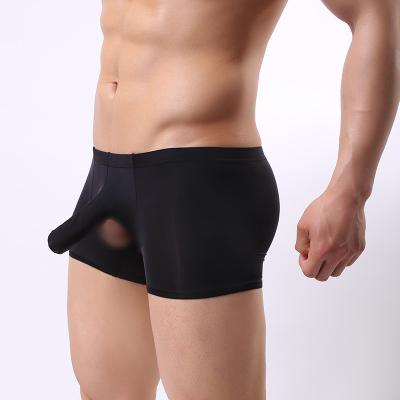 China Wholesale-Breathable Men's High Performance Underwear Sexy Elephant Nose Transparent Panties Man-Underwear for sale