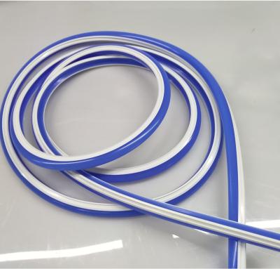 China 2021 New Product High Brightness Garden Customs Lead Silicone Cable Neon Lights for sale