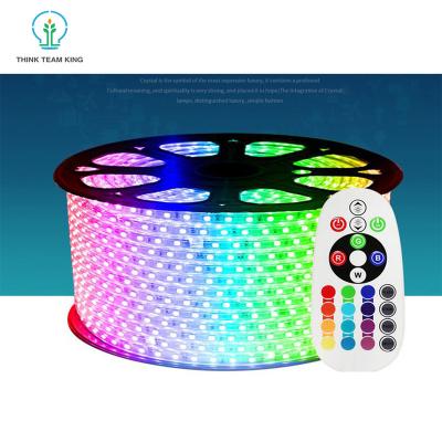 China Warehouse 100m led rope light with 60leds rgb color 110v 220v led strip for decoration for sale