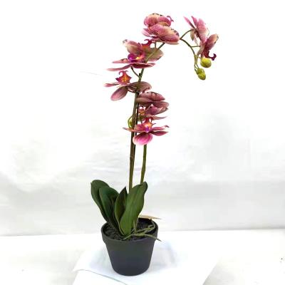 China Artificial Orchids Plant and Weeding Flowers Environmental Protection Art Wall Home Garden Decor Decorative Wholesale Bonsai Plants for sale