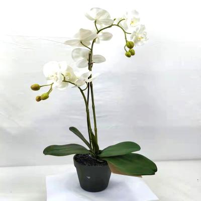 China High Quality Indoor White Artificial Orchid Plants Garden Decor Environmental Protection Environmental Protection Flower Simulation Orchid Fake Colorful Orchid for sale