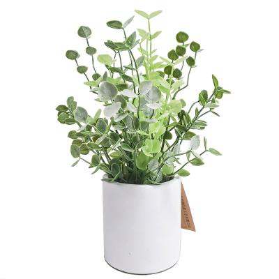 China Simple And Natural Potted Mini Succulent Plants Artificial Plastic Fake Assorted Plants For HomeTable Decoration for sale