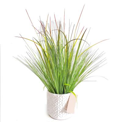 China Minimalist Artificial Potted Onion Grass In Pot Decorative Plastic Faux Greenery Plant For Kid's Room Decor for sale