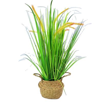 China Minimalist Artificial Colors Dogtail Onion Grass Office Decor Potted Faux Plants Greenery Decor For Home Office Bathroom Wedding Indoor OU for sale