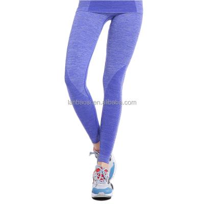 China Viable Women's Long Johns Compression Underwear Quick Dry Thermal Wholesale for sale