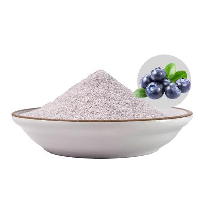 China Blueberry Organic Food Manufacturers Blueberry Blot Extract Powder Wholesale Beverage Raw Material Blueberry Anthocyanin Solid Fruit Powder for sale