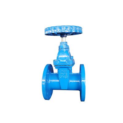 China General Iron DN40-DN300 High Quality Resilient Seated Ductile Gate Valve for sale