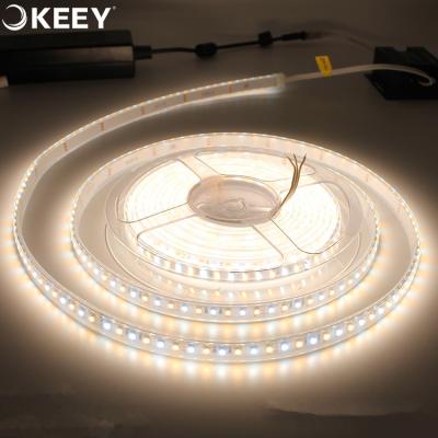 China 2020 hot sale high quality led strip light 3M 3528 5m waterproof dimmable gum keey led strip light with remote DD902 for sale