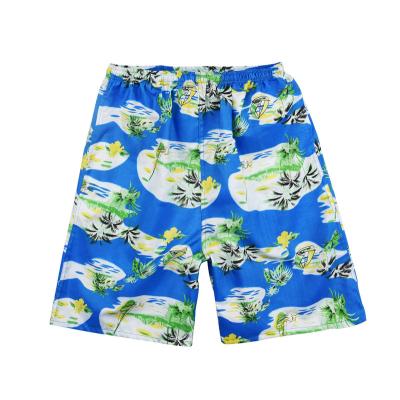 China Quick Dry Summer Boys Swimming Trunks Print Beach Wear Mens Swimwear Short Pants Plus Size Trunks For Men With Pockets for sale