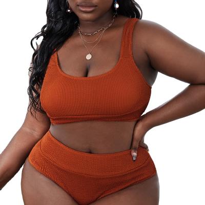 China Plus Size Women Padded Scoop Neck 2 Piece Push Up Swimsuit Ribbed Brazilian Bottom Thong Bikinis Swimsuit Style Bra Sets for sale