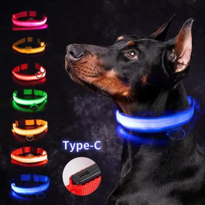 China LED Dog Collar  Waterproof Adjustable USB Type-C Recharge Solid Pattern Flashing Light Up for sale