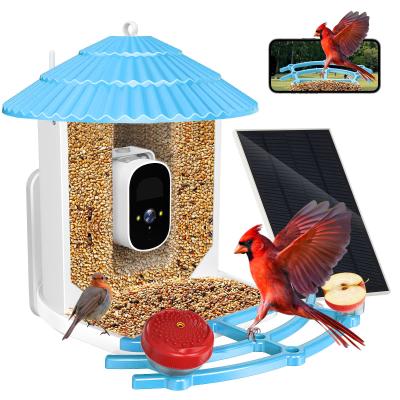 China IP66 Waterproof 4MP Smart Bird Feeder 2.5L Wildlife Smart Bird Camera for sale