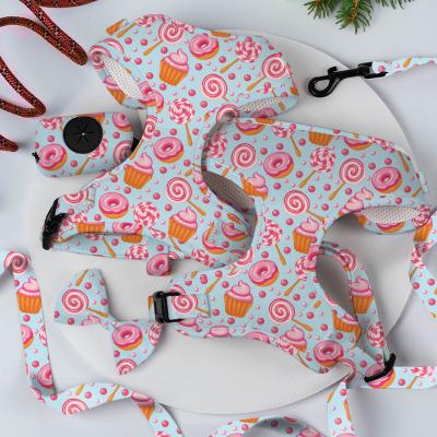 China XS Dog Harness And Leash Set Sublimation Decoration Scarf Cat Harness Set for sale