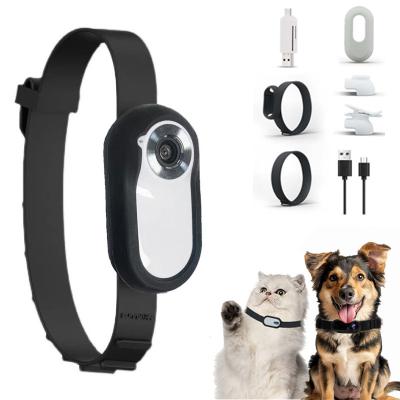 China Outdoor Sports Pet Camera Collar ABS 1920*1080 Cat Camera Collar for sale