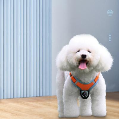 China Mini Magnetic Thumb Action Camera Video Recording Wireless Dog Camera Harness for sale