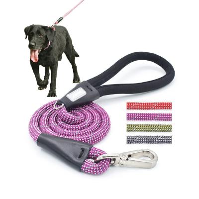 China Purple Dog Walking Leash Colorful Pet Walk Running Nylon Slip Lead Double Rope for sale