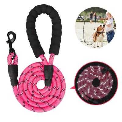 China Reflective Nylon Dog Leash Acceptable OEM ODM Manufacture All-Season Market for sale