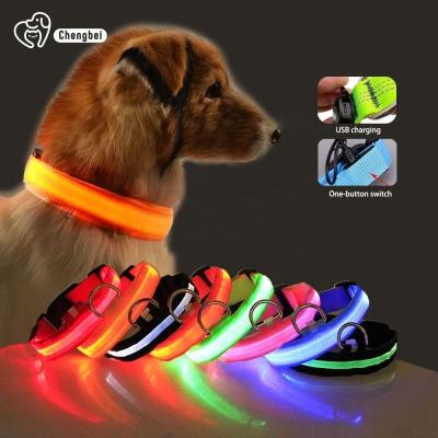 China Hundehalsband Lighted Dog Collars Rechargeable Nylon XS XL LED Pet Collar for sale