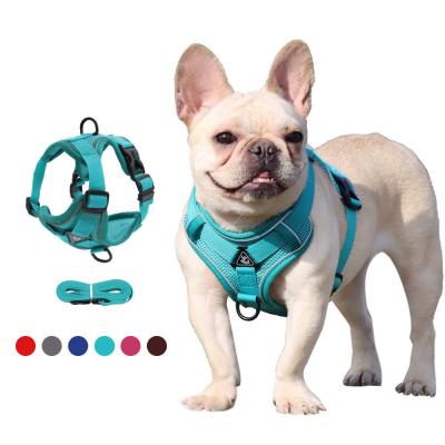 China Polyester Reflective Pet Vest 1.5m Traction Leash Blue Dog Harness for sale