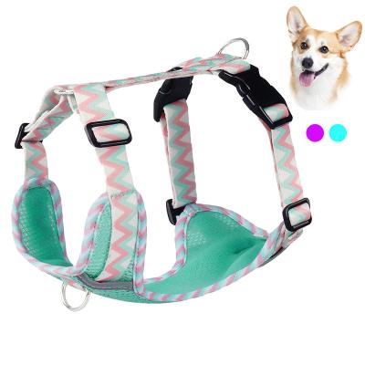 China 2023 Chengbei's Pet Supplies Dog Leash Vest with Reflective Strip and Solid Pattern for sale