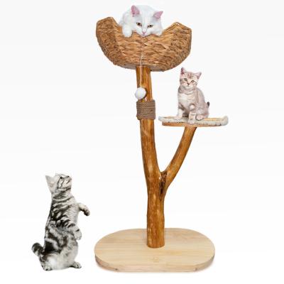 China Cat Tree Unique Design Natural Wood Cat Tower Easy Climbing Small  cat for sale