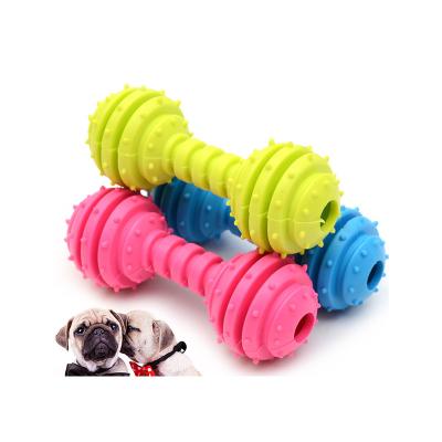 Cina Colorevole forma ossea TPR giocattolo per cani per animali adatti a tutte le stagioni Barbell Dog Chew Toy in vendita