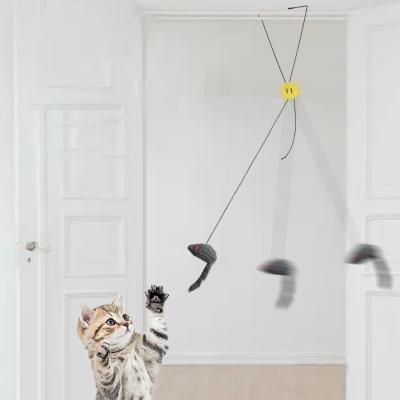 China Cat Feather Toy Retractable Teaser Hanging Interactive Indoor Cats OEM/ODM Accepted for sale