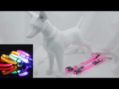 Hundehalsband Lighted Dog Collars Rechargeable Nylon XS XL LED Pet Collar