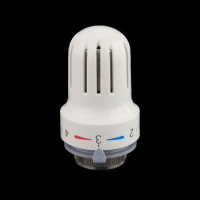 China Modern Auto Plastic Thermostatic Head For Radiator Use for sale