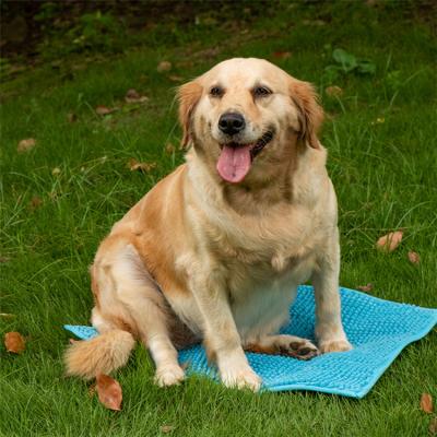 China New High Quality Super Absorbent Dog Cat Bath Towel Pet Microfiber Chenille Dog Grooming Dry Stocked Dryer Towel for sale