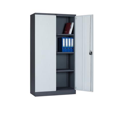 China Steel 2 Doors File Cabinet K/D Structure Colourful 2 Tier Doors Metal Locker for sale