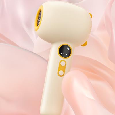 China Constant Temperature Rechargeable Hair Dryer with Baby's Skin Protection and Long Battery Life for sale