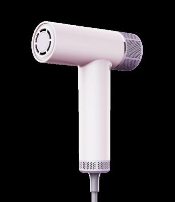 China Double Air Channel High-Speed Ionic Low Noise Blow Dryer With Brushless Motor Magnetic Diffuser For Curly Hair Dryer for sale