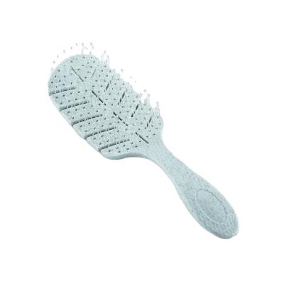 China Phytodegradation Brush Household Hair Brush Personal Care Detangling Material Biodegradable Hair Brush for sale