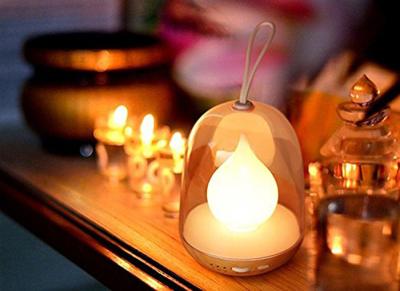 China Lantern Color Adjustable Decorative Led Night Lights Auto - Off Timer for sale