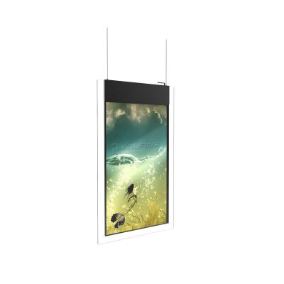 China Retail Store Window Digital Signage Display Screen Double Sided LCD Display Advertising VFCA4355 for sale