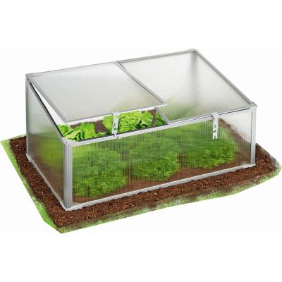 China Green House Easily Assembled Home Garden Metal Frame White Aluminum Greenhouse For Plants for sale