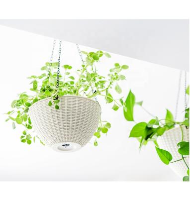 China Modern Outdoor Balcony Planter Pot For Indoor Plants Basket Hanging Plastic Planter for sale