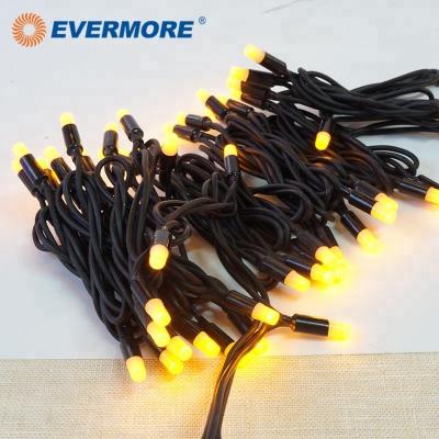 China Decoration Material Waterproof Rubber Cable Always Led String Lights For Outdoor for sale