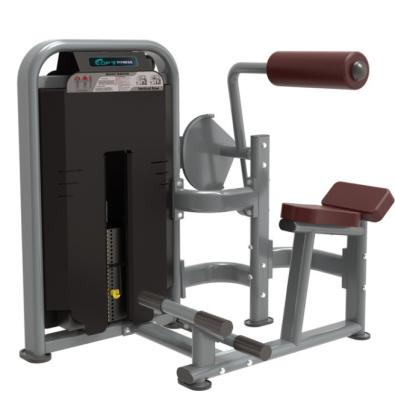 China Commercial Use DFT Gym Equipment DFT-1617 Dual Mode Back Extension for sale